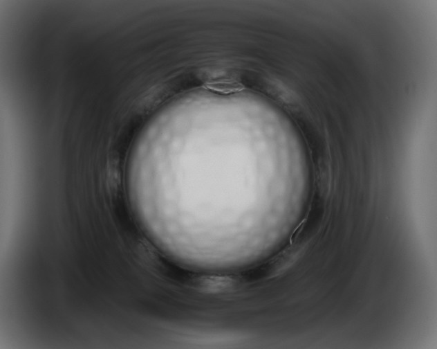 X0000086340085200704131753
