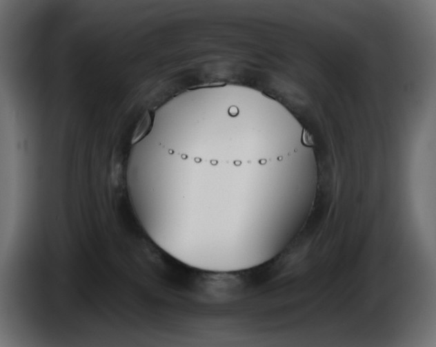 X0000086340087200704131753