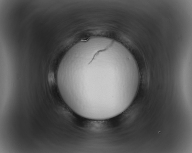 X0000086340089200704131753