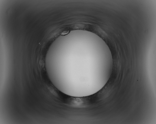 X0000086340091200704131753