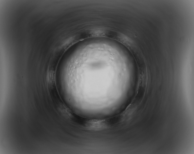 X0000086340093200704131753