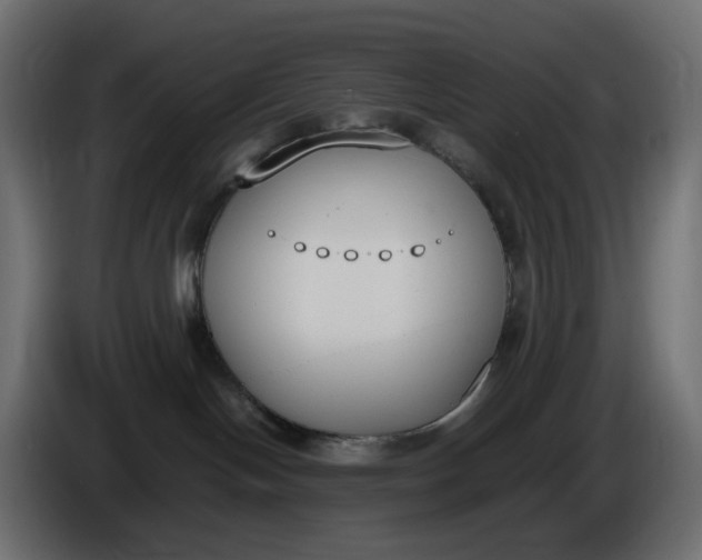 X0000086340094200704131753