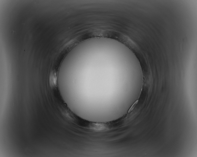 X0000086340095200704131753