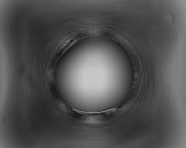 X0000086340096200704131753
