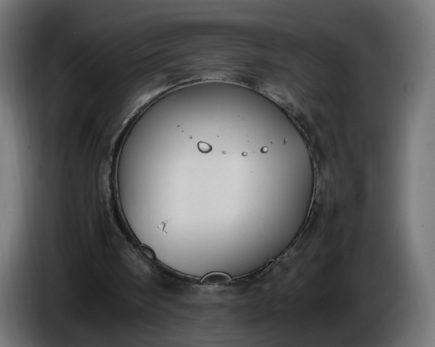 X0000086340098200704131752
