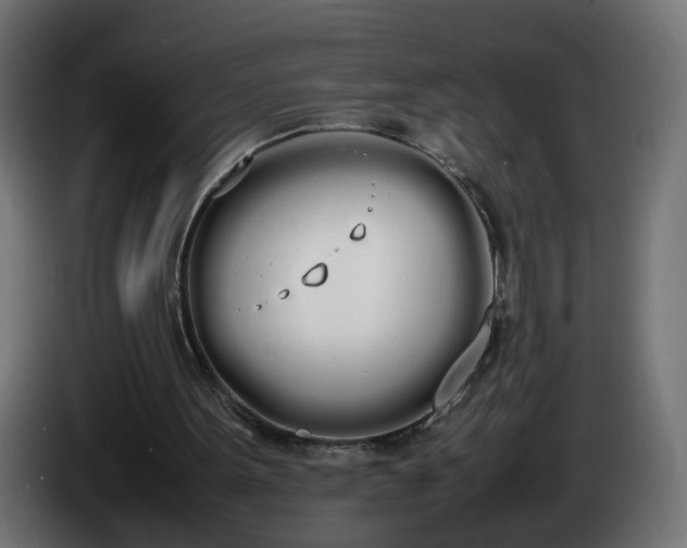 X0000086340099200704131752