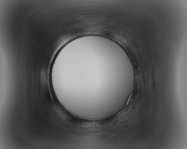 X0000086340100200704131752