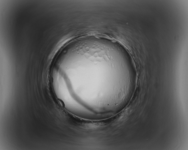 X0000086340103200704131752
