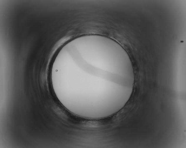 X0000086340104200704131752