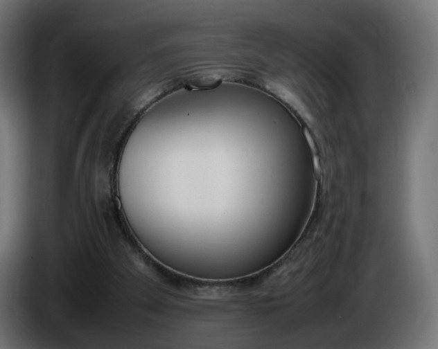 X0000086340105200704131752
