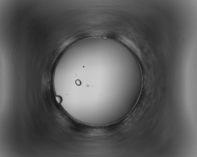 X0000086340107200704131752