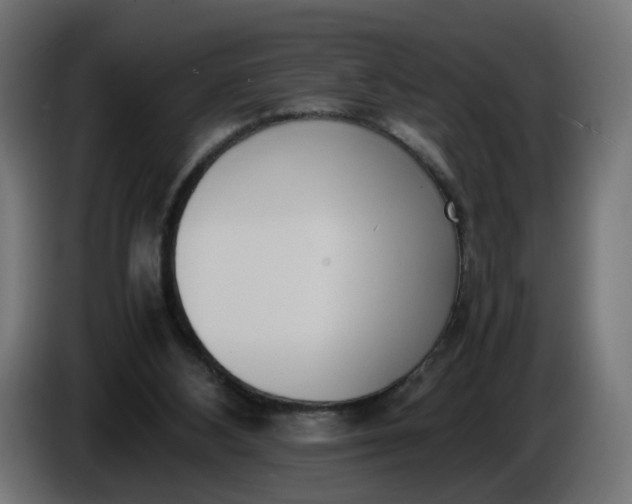 X0000086340108200704131752