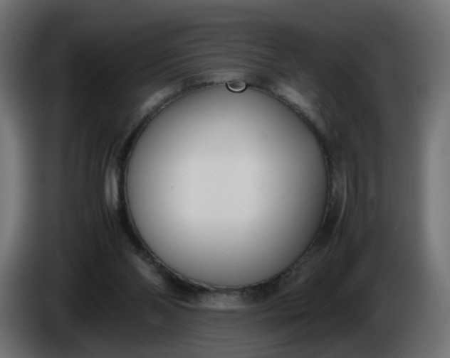 X0000086340110200704131752