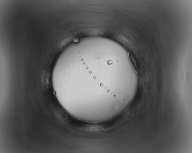 X0000086340115200704131752