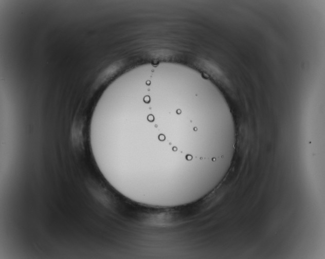 X0000086340116200704131752