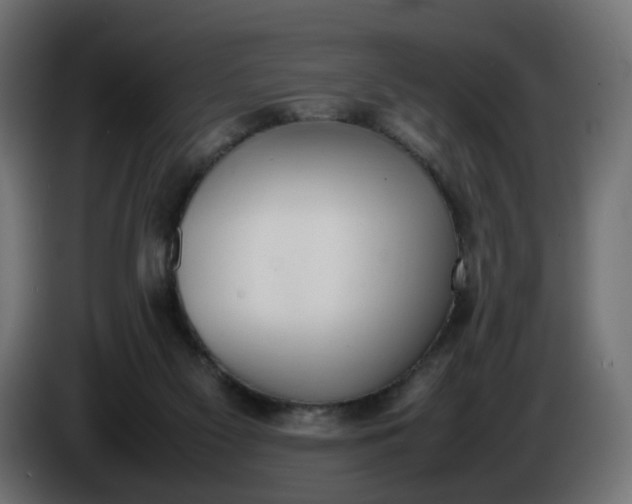 X0000086340117200704131752