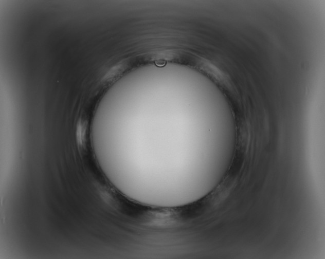 X0000086340118200704131752