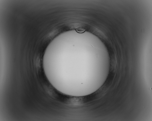 X0000086340126200704131752