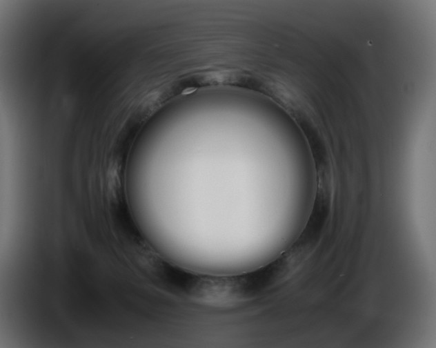 X0000086340127200704131752