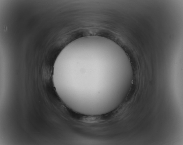 X0000086340129200704131752