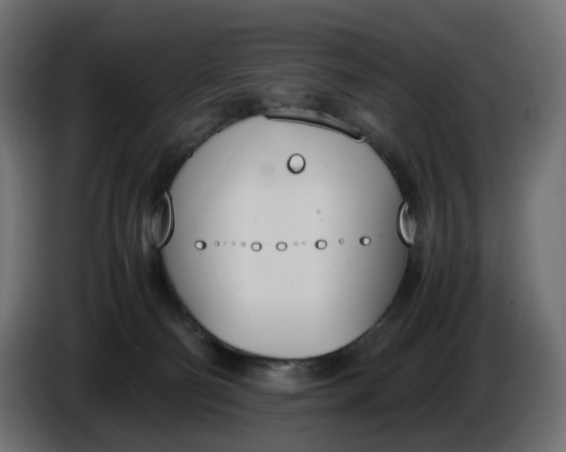 X0000086340130200704131752