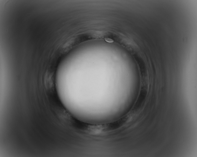 X0000086340131200704131752