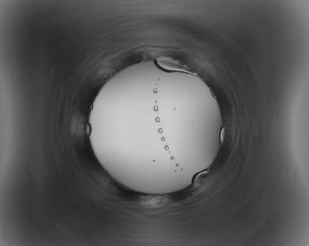 X0000086340135200704131752
