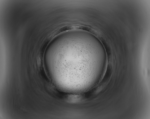 X0000086340139200704131752