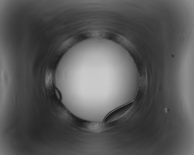 X0000086340142200704131752