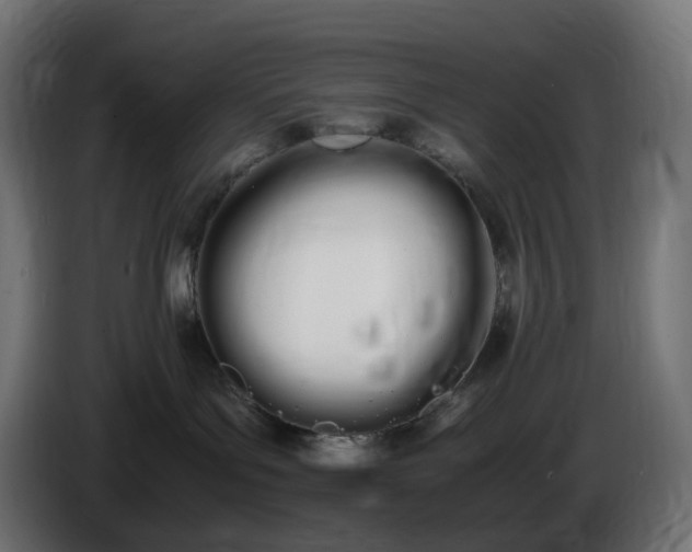 X0000086340143200704131752