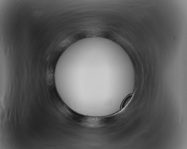 X0000086340144200704131752