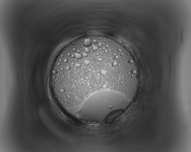 X0000086340145200704131751