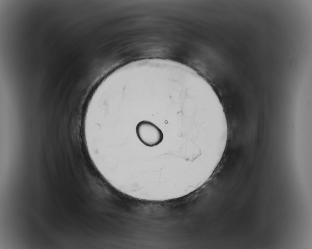 X0000086340146200704131751