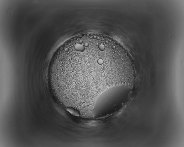 X0000086340151200704131751