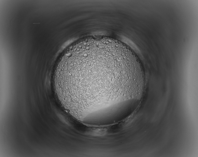 X0000086340155200704131751