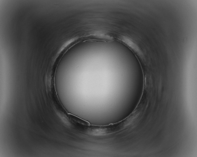 X0000086340156200704131751
