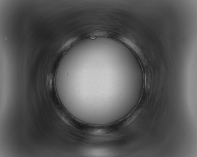 X0000086340157200704131751