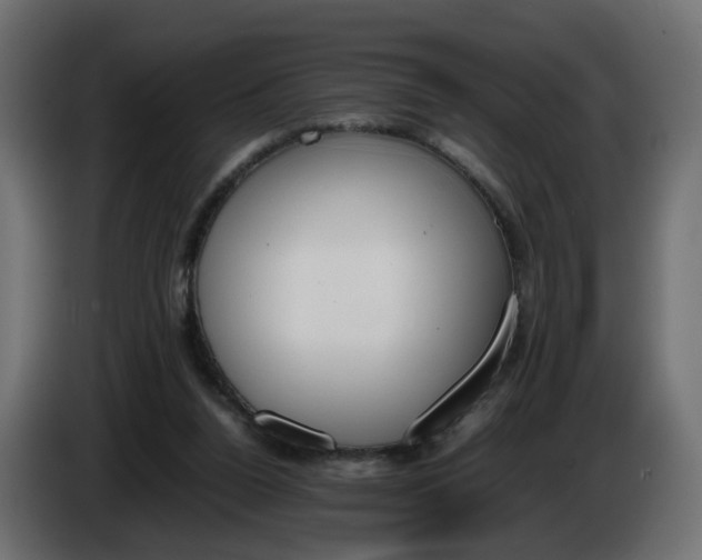 X0000086340160200704131751