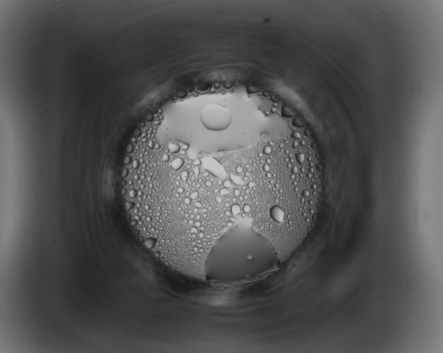 X0000086340161200704131751