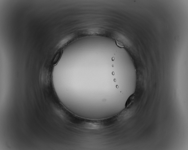 X0000086340164200704131751