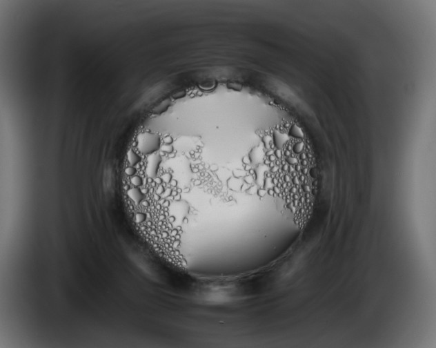 X0000086340165200704131751