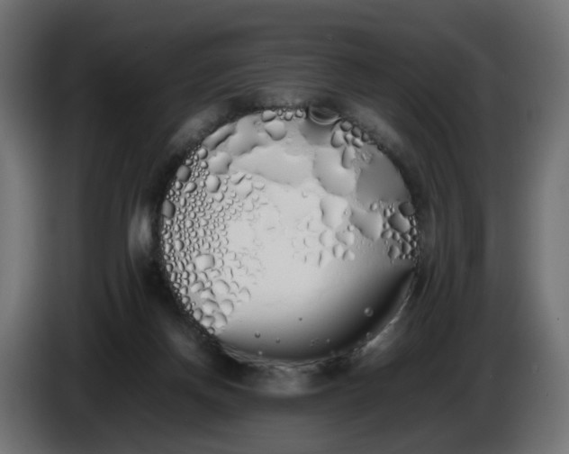 X0000086340166200704131751