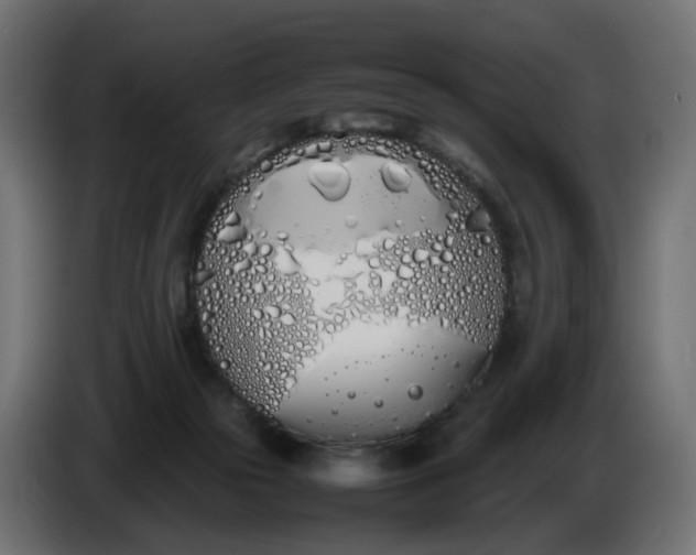 X0000086340169200704131751