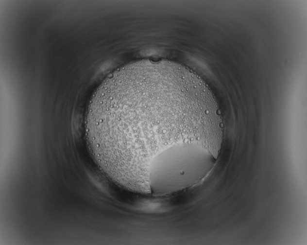 X0000086340171200704131751