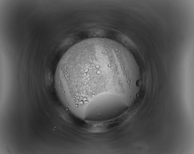 X0000086340173200704131751