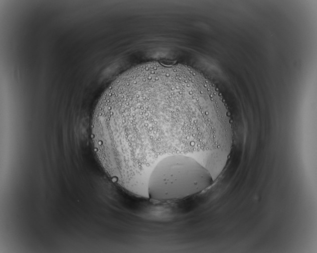 X0000086340175200704131751