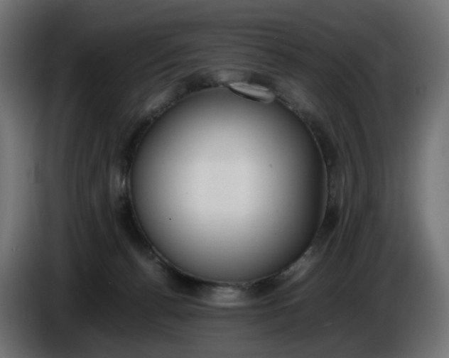 X0000086340176200704131751