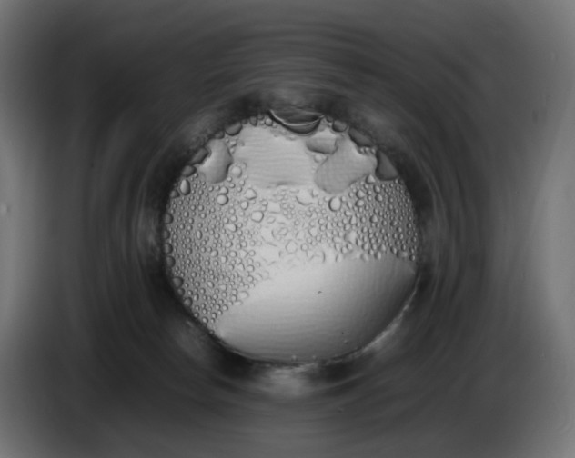 X0000086340178200704131751
