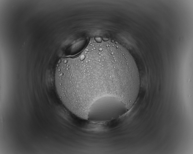 X0000086340179200704131751