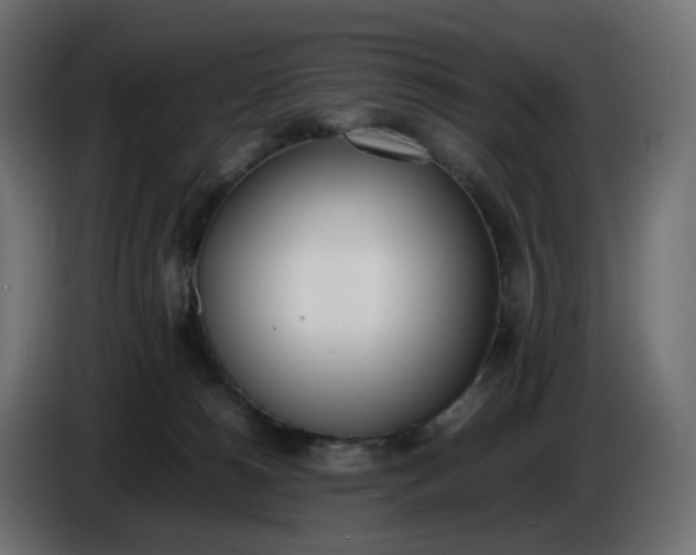 X0000086340180200704131751